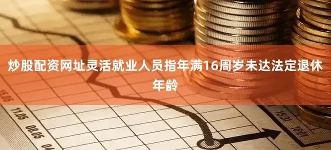 炒股配资网址灵活就业人员指年满16周岁未达法定退休年龄