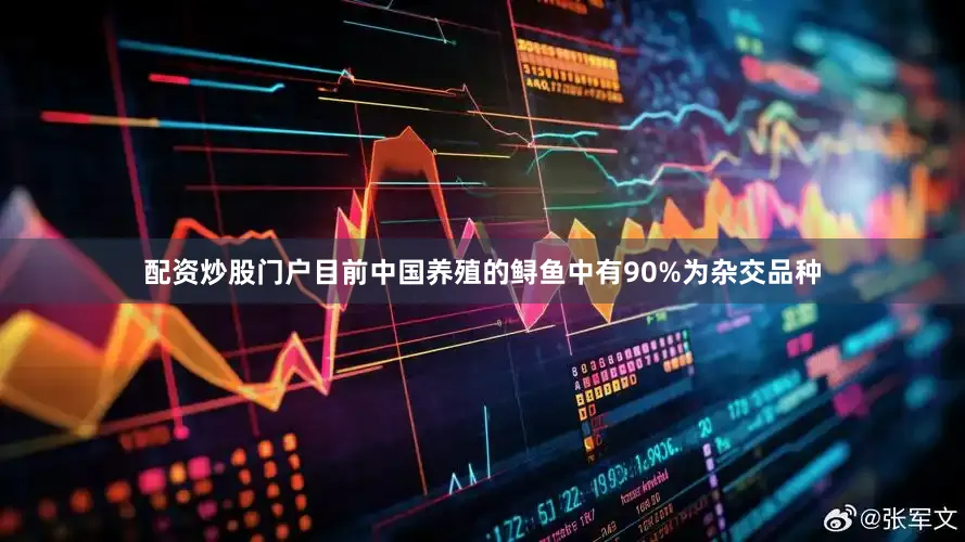 配资炒股门户目前中国养殖的鲟鱼中有90%为杂交品种