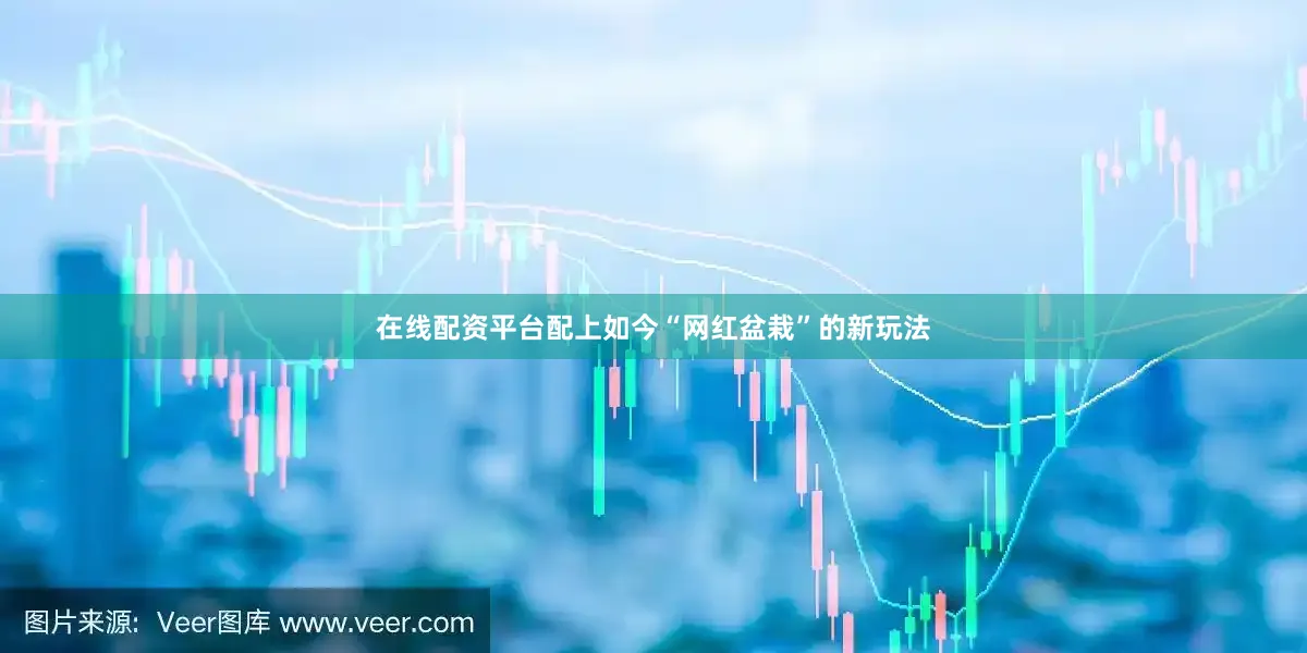 在线配资平台配上如今“网红盆栽”的新玩法