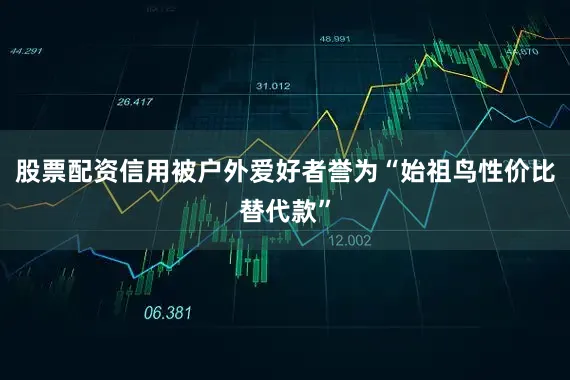 股票配资信用被户外爱好者誉为“始祖鸟性价比替代款”