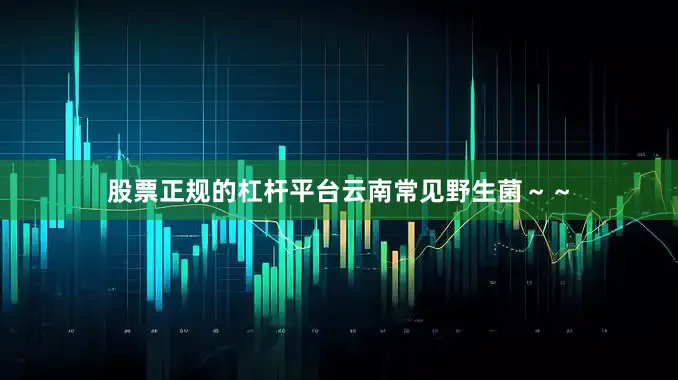 股票正规的杠杆平台云南常见野生菌～～