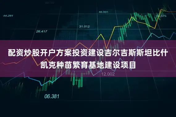 配资炒股开户方案投资建设吉尔吉斯斯坦比什凯克种苗繁育基地建设项目